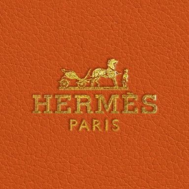 Hermes Leather